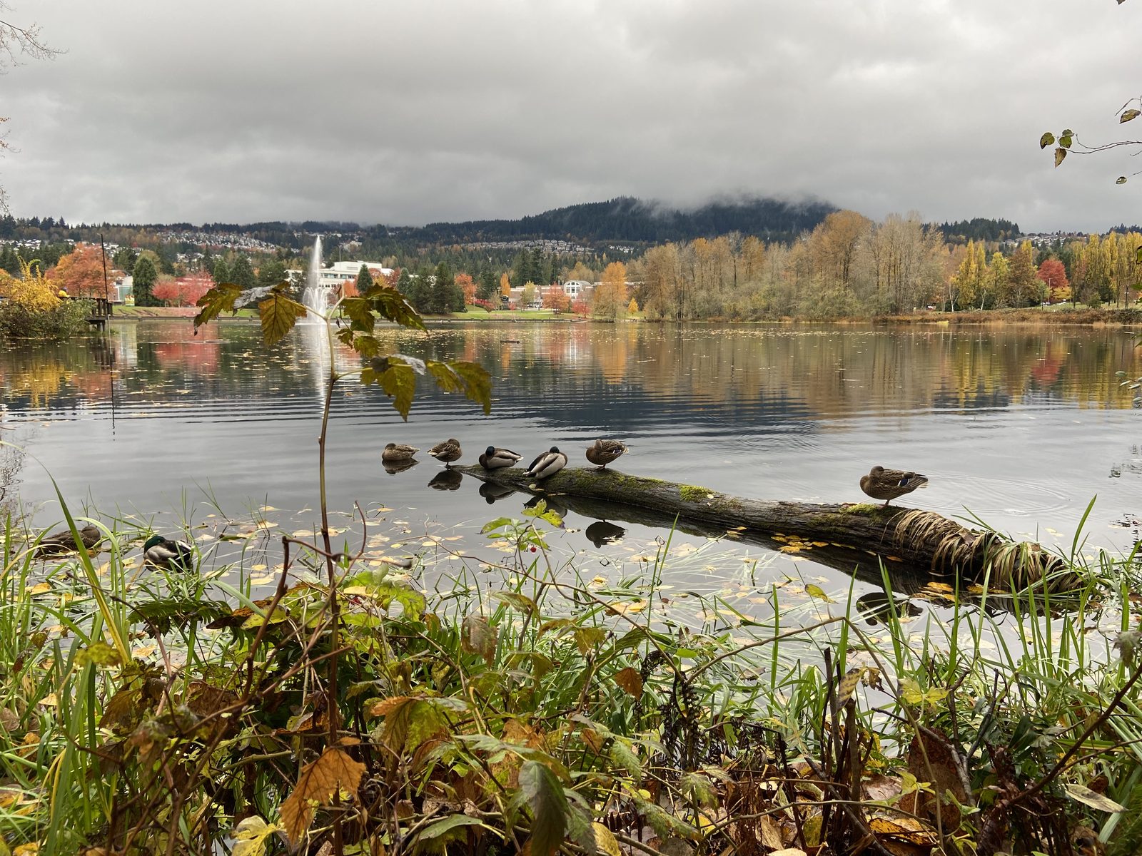 Coquitlam